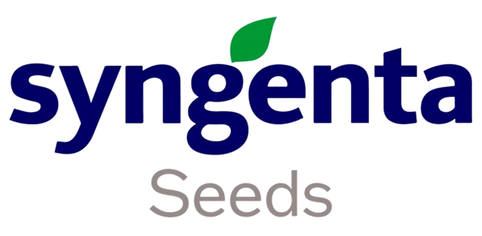 Syngenta Seeds